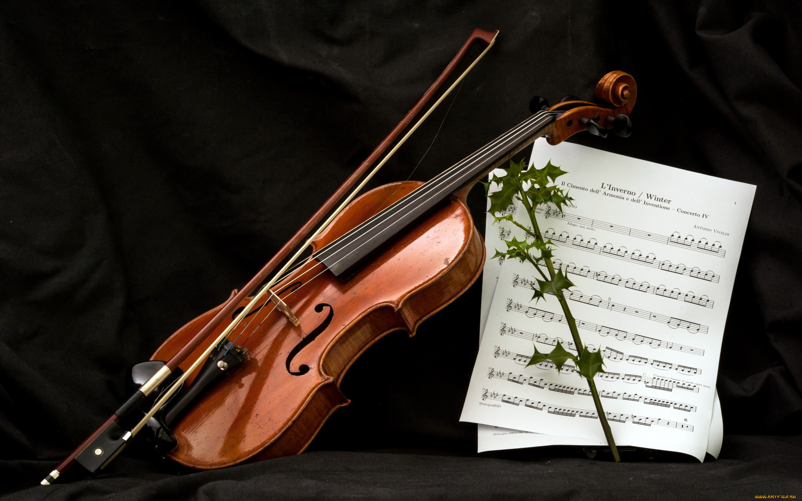 Violin. Скрипка. Скрипка музыкальный инструмент. Скрипца. Красивая скрипка.